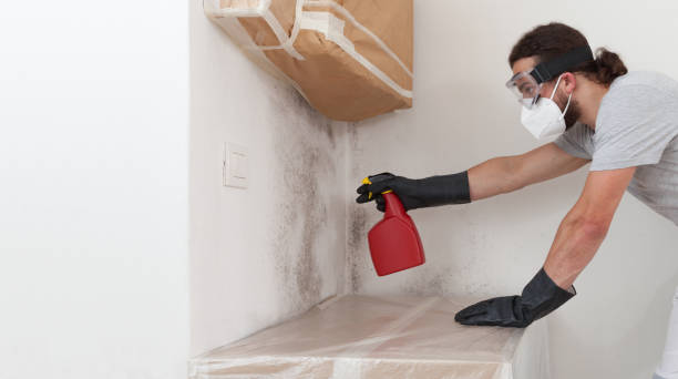 Attic Mold Remediation treatment on roof deck in Hopkins